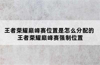 王者荣耀巅峰赛位置是怎么分配的 王者荣耀巅峰赛强制位置